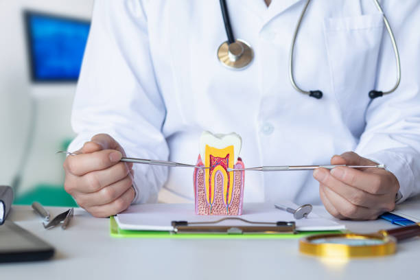 Best Knocked-Out Tooth (Avulsed Tooth) Treatment in Westmoreland, TN